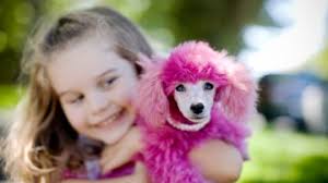 1.5m dog owners face fines for not microchipping pets