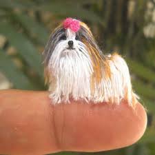 Minik Amigurumi Oyuncak Modelleri Perros Miniatura Crochet Perro Mini Vacas