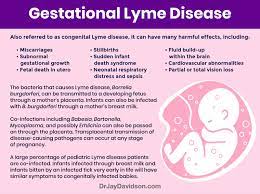 Lyme Disease And Pregnancy