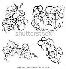 Black And White Vines Vine Leaves Drawing Black And White Leaf Drawing Vines Drawings