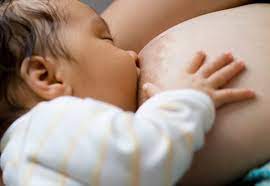 Basics of Breastmilk Production, Part 2: Labour, delivery and early  post-partum — Aotearoa Baby Clinic