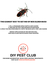 Any pests in your home are cause for concern. 8 Do It Yourself Pest Control Ideas Pest Control Pests Diy Pest Control