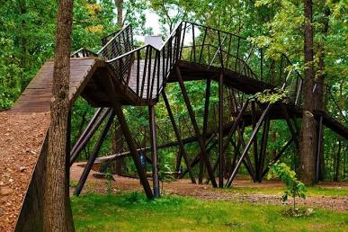 Coler Mountain Bike Preserve, Modus Studio, 2020