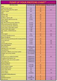 protein chart how much protein in beans legumes protein