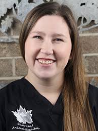 Animal Hospital in Moore, OK │ Silver Leaf Animal Hospital