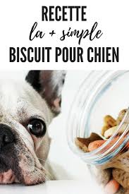 Beau Bon Pas Cher A Essayer Ce Weekend La Plus Simple Des Recettes De Recettes De Biscuits Pour Chien Recettes De Nourriture Pour Chien Biscuits Pour Chiens