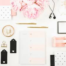 c level resume writer / resume writer