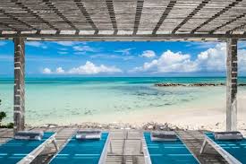 Image result for Salacia bussei