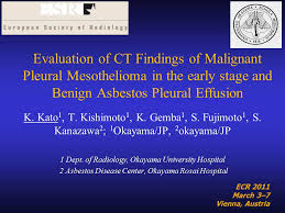One main concern is the early and clear identification of lesions with a. Epos C 1309