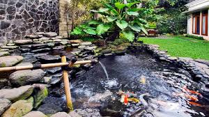 77 Ide Cantik Taman Dan Kolam Ikan Minimalis Modern Terbaru Kolam Ikan Taman Indah Kolam