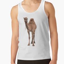 Dromedary camels, which have one in addition to their humps, camels have other ways to adapt to their environment. Camel Tank Tops Redbubble