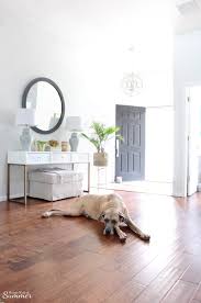 Hide this posting restore restore this posting. Tampa Bay Craigslist Pets