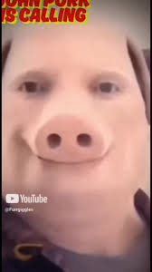John Pork is calling you …. #johnpork #johnporkiscalling #funnymeme  #memetictok #meme #graphictees #fypシ #viral