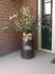 Milk Can Christmas Decor