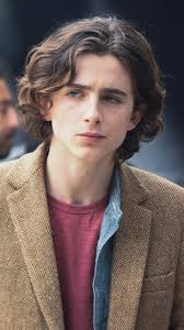 With steve carell, maura tierney, jack dylan grazer, oakley bull. My Heart Timothee Chalamet And Beautiful Boy Image 7038347 On Favim Com