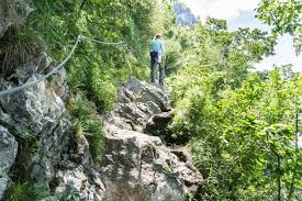 Nachdem wir beim wir beim hoisnwirt geparkt hatten gingen wir am hinweg entlang des seeufers. Wanderung Auf Dem Miesweg Bei Gmunden Auf Den Berg De