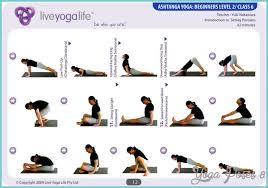 seated yoga poses for beginners