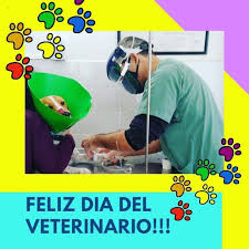 We did not find results for: Veterinaria Constituyentes Videos Facebook