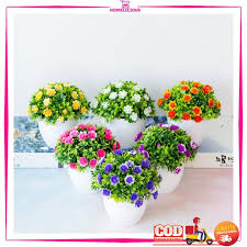 Check spelling or type a new query. Bunga Hias Plastik Dekorasi Hiasan Rumah Tanaman Palsu 1 Set Sama Pot Murah Shopee Indonesia
