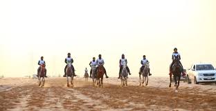 We did not find results for: Saudi Equestrian Federation
