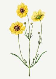 Pin On Vintage Vector Illustrations