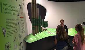Cash in on other people's patents. Genome Unlocking Lifes Code Health Museum 365 Things To Do In Houston