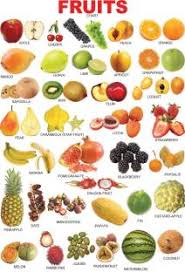 Apple Tree Fruits Preschool 1 13 5 Inch 19 5 Inch