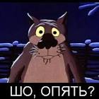 images?q=tbn:ANd9GcSYuDVacie9wp-4BQAJvvS
