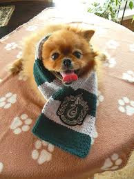 And if you are not a harry potter fan, you can always check out the tutorials for making a dog chia pet costume or crochet your pooch a pirate puppy hat. Harry Potter Costumes For Dogs And Cats Popsugar Family