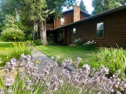 Maybe you would like to learn more about one of these? Headwaters Lodge Cabins For Rent In Mount Shasta California United States