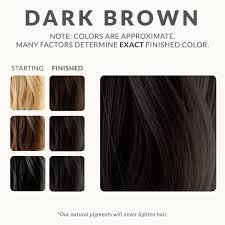 A shade that's hard to ignore, black hair dye is a strong choice and suits a variety of skin complexions and hair types. Dark Brown Henna Hair Dye Henna Color Lab Henna Hair Dye