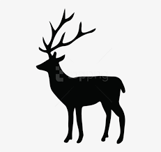 In europe they are called reindeer everywhere. Free Png Deer Silhouette Png Transparent Background Deer Clipart Free Transparent Png Download Pngkey