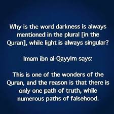 The main vision of darul arqam is to avail effective learning through the dedication and teamwork of our highly qualified teachers. Such A Beautiful Way Of Putting It Islamic Quotes Darkness And Light Words