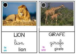 Les Animaux D Afrique La Classe Des Petits Moyens En 2020 Animaux De La Savane Imagier Animaux Animaux Afrique Les animaux de la savane africaine. imagier animaux