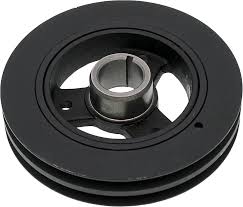 Image result for Pimpinella sp. A. of FZ 4: 594