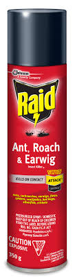 This spray is perfect when you need to destroy ants and roaches super fast. Raid Ant Roach Earwig Insect Killer 2