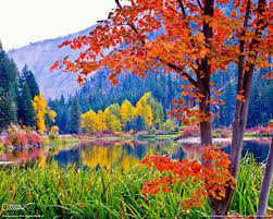 Best Autumn In Photoland Images On Pinterest Autumn Autumn Fall Wallpaper Autumn Scenery Nature Photos