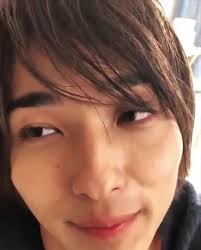 我得了不看日劇就會死的病