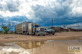 Who are alliance auto auctions and what do they do? Pin On Bull Haulers Cowhaulers Livestock Haulin