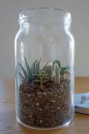 Eine Kleine Diy Anleitung Zur Wochenmitte Der Mini Kakteengarten Im Einmachglas Ideal Fur Alle Die Gerne Eine In 2020 Mini Terrarium Terrarium Ideen Pflanze Im Glas