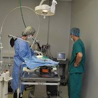 Montrose animal health center was established in 1979 by dr nolan rubin. Montrose Animal Hospital East Cobb Marietta Ga