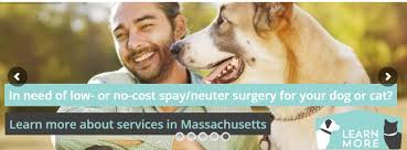 Our goal is to make spay/neuter services affordable to those who might not otherwise spay/neuter their pets. Voucher Programs Free Spay Neuter For Ma Residents Who Qualify Sterling Animal Shelter Clinic