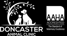 Welcome to the pet vet in doncaster. Veterinarian In Thornhill On Doncaster Animal Clinic