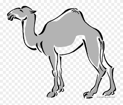 Uclipart provides free download of camel clipart for your web sites, project, art design or presentations. Camel Animal Free Black White Clipart Images Clipartblack Clip Art Free Transparent Png Clipart Images Download