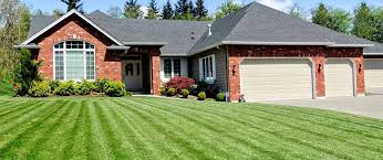 Water more but the best advice is to avoid watering your lawn at night as once you water it and nightfall sets in, the temperatures get cooler, and precipitation can fall on your. How To Overseed Or Reseed Your Lawn