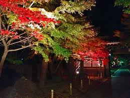 東漸寺の紅葉 紅葉情報2020