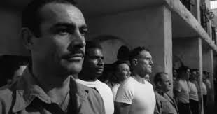 Stinking Pause Podcast