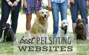 So whether you have cats, dogs, hamsters, rabbits, horses, parrots, snakes, spiders, lizards etc we can take care of them. Best Pet Sitting Websites 2021 Rover Vs Wag Vs Care Vs Fetch Vs Petsitters Caninejournal Com