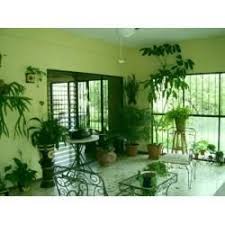 Indoor Plants Have Always Had A Special Place With Women In Pakistan And They Have Improvised Their Role Living Room Plants Plant Decor Indoor Room With Plants