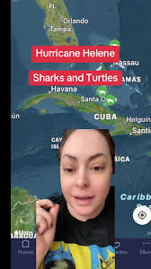 Gulf Place Anna Maria Hurricane Helene